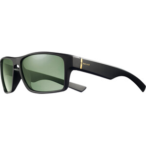 Julbo Wesley Solar Sunglasses, zwart/groen zwart/groen