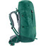 deuter Fox 40 Backpack Kids alpinegreen/forest