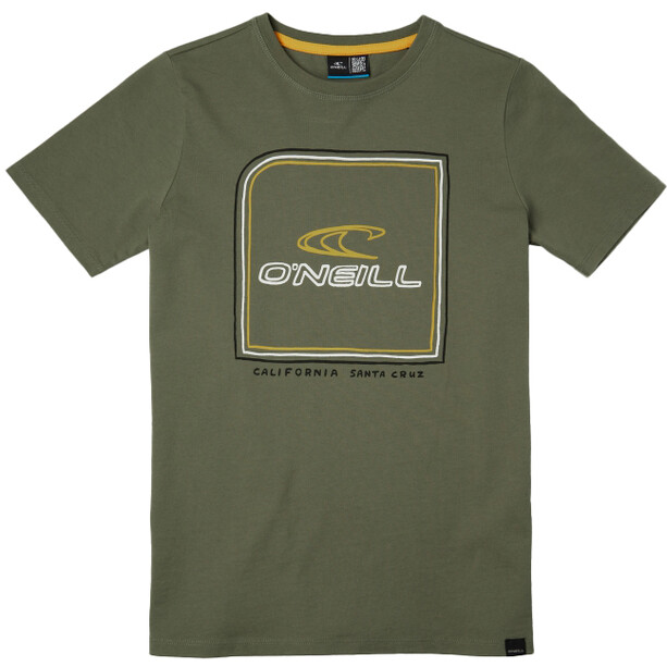 O'Neill All Year SS Shirt Boys, groen