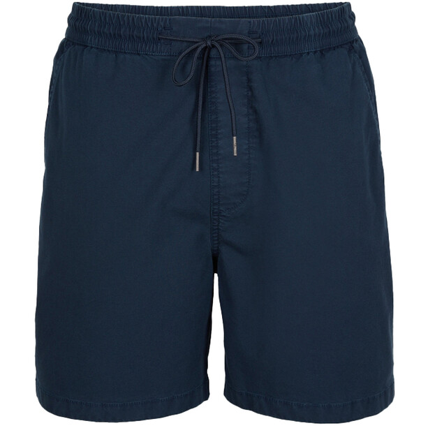 O'Neill Boardwalk Shorts Men, blauw