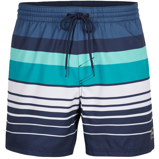 O'Neill Horizon Shorts Homme, bleu/Multicolore