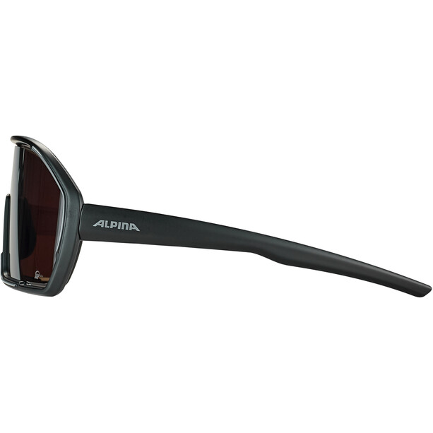 Alpina Bonfire Q-Lite Sonnenbrille schwarz