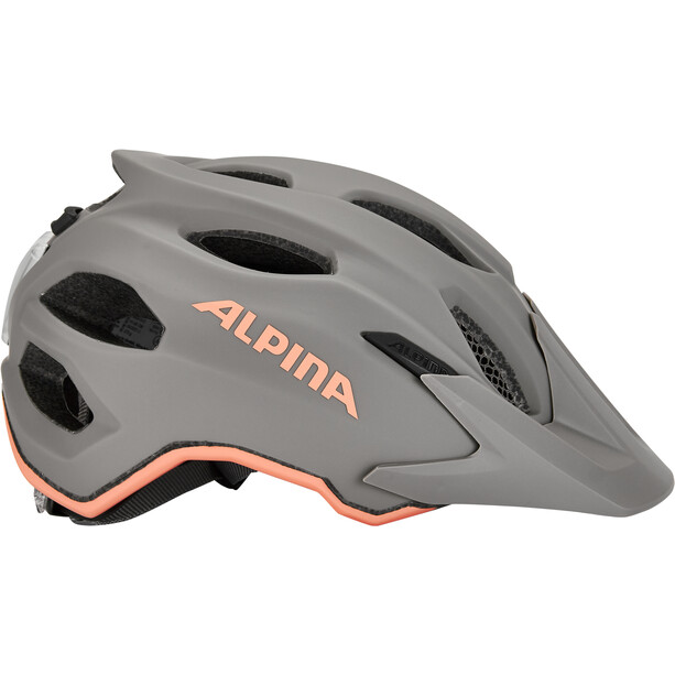 Alpina Carapax Flash Helm Jugend grau