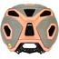 Alpina Croot MIPS Helm grau
