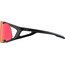 Alpina Hawkeye QV Sonnenbrille schwarz