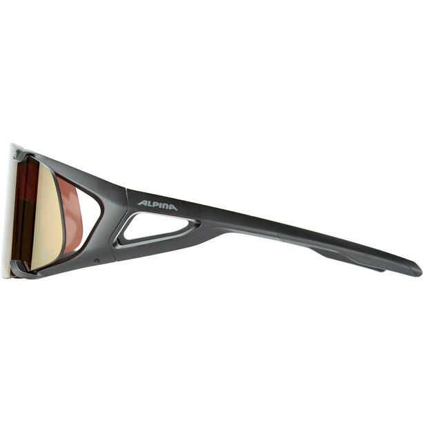 Alpina Hawkeye S Q-Lite Okulary, czarny