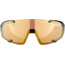 Alpina Hawkeye S Q-Lite Sonnenbrille schwarz