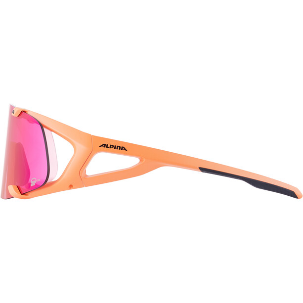 Alpina Hawkeye S Q-Lite Sonnenbrille orange