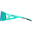 Alpina Hawkeye S Q-Lite Sonnenbrille türkis
