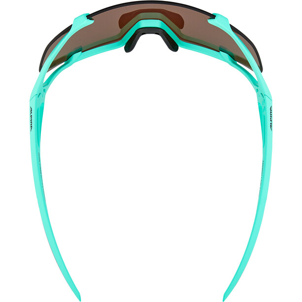 Alpina Hawkeye S Q-Lite Bril, turquoise
