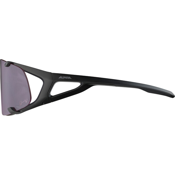 Alpina Hawkeye S Q-Lite V Sonnenbrille schwarz