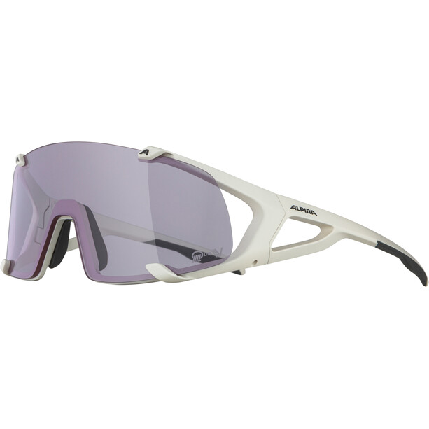 Alpina Hawkeye S Q-Lite V Sonnenbrille grau