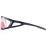 Alpina Hawkeye S QV Sonnenbrille schwarz