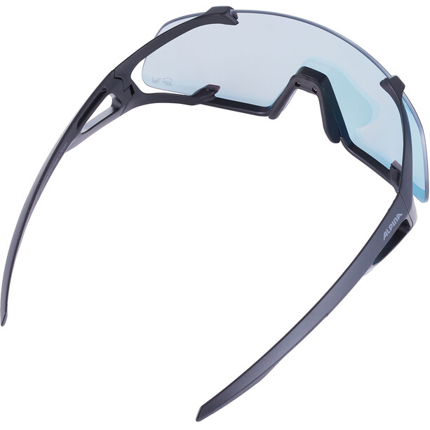 Alpina Hawkeye S QV Sonnenbrille schwarz