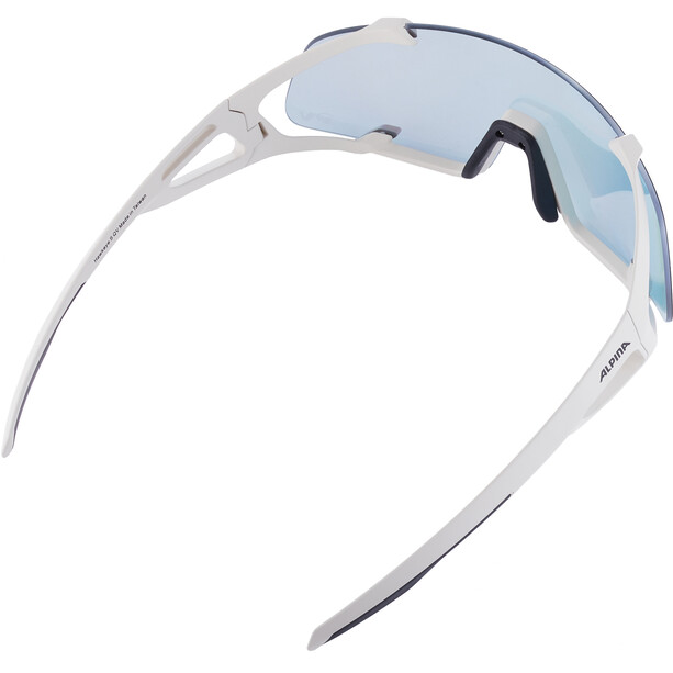 Alpina Hawkeye S QV Sonnenbrille grau