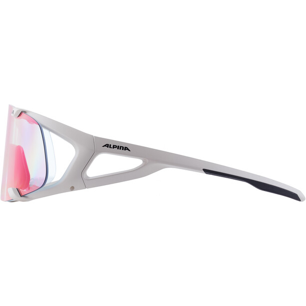 Alpina Hawkeye S QV Sonnenbrille grau