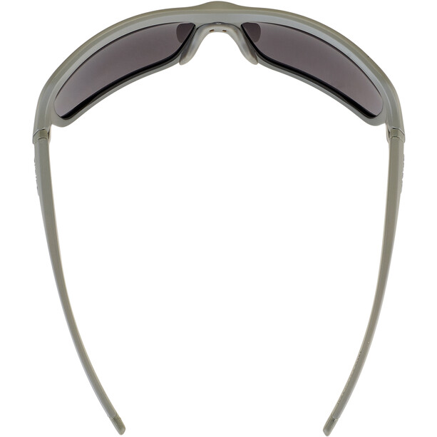 Alpina Lyron Glasses moon/grey matt/black mirror