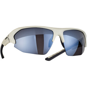 Alpina Lyron HR Glasses cool/grey matt/black mirror cool/grey matt/black mirror