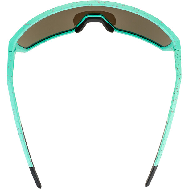 Alpina Ram Q-Lite Bril, turquoise