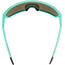 Alpina Ram Q-Lite Okulary, turkusowy