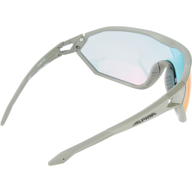 Alpina S-Way QVM+ Gafas, gris