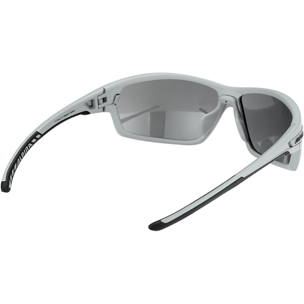Alpina Tri-Scray 2.0 Brille grau