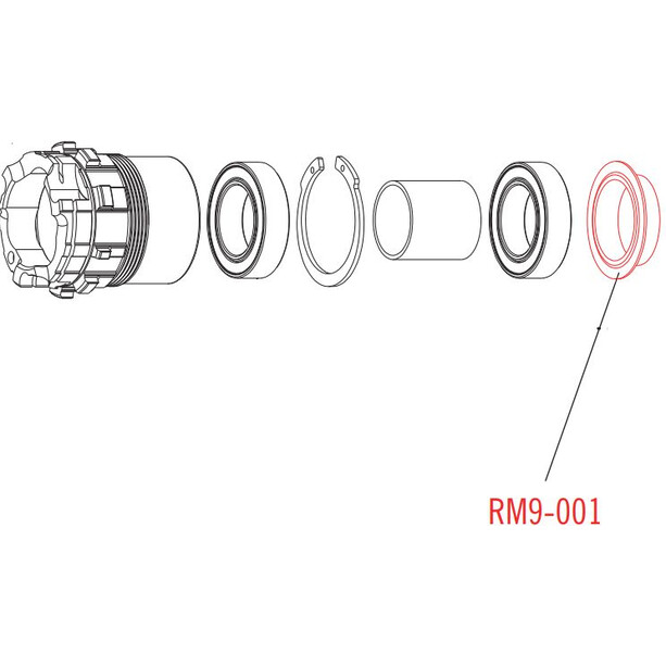 Fulcrum Embout de roue libre pour Disc Road &amp; SRAM XD/XDR MTB