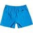 Quiksilver Everyday 13" Volley Shorts Jongeren, blauw