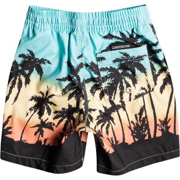 Quiksilver Everyday Paradise 13" Volley Shorts Kinder bunt