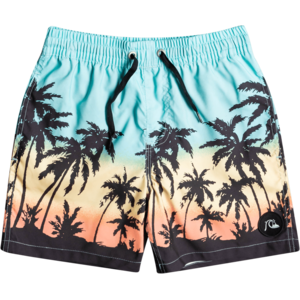Quiksilver Everyday Paradise 14" Volley Shorts Jugend bunt