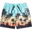 Quiksilver Everyday Paradise 14" Volley Shorts Jugend bunt