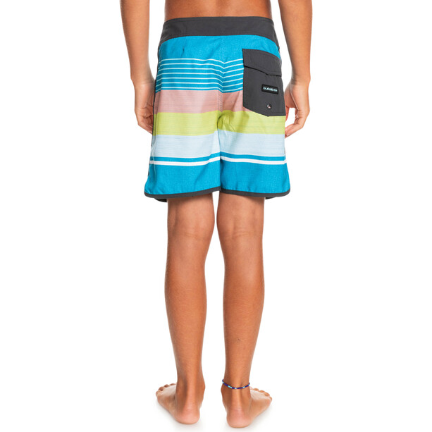 Quiksilver Everyday Scallop Pantalones cortos de agua Jóvenes, Multicolor