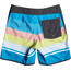 Quiksilver Everyday Scallop Pantalones cortos de agua Jóvenes, Multicolor