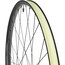 Stan's NoTubes Arch MK4 Front Wheel 29" Disc 6-Bolt 15x110mm, czarny/szary