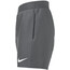 Nike Swim Essential 4" Volley Shorts Jongens, grijs