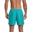 Nike Swim Essential Lap 5" Volley Shorts Heren, turquoise
