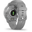 Garmin Venu 2 Plus Smartwatch with Silicone Change Watch Band 20mm light grey/silver