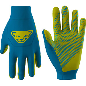 Dynafit Upcycled Thermal Handschuhe blau/gelb blau/gelb