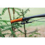 FUNN UpDown Universal CNC Remote Hebel für Vario Sattelstütze orange
