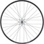 Hope Fortus 23W Front Wheel 29" 15x100mm, argento