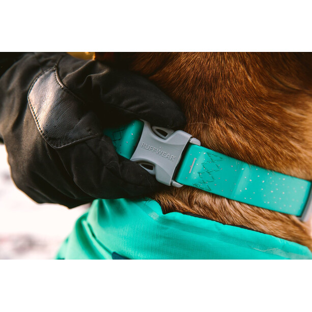 Ruffwear Confluence Collier, turquoise