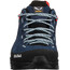 SALEWA Alp Trainer 2 GTX Chaussures Femme, bleu