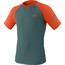 Dynafit Alpine Pro T-Shirt Heren, blauw