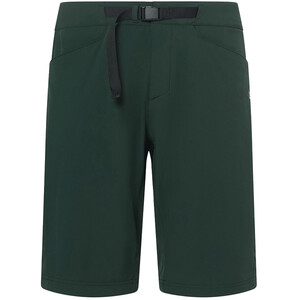 Oakley Drop In MTB Shorts Heren, groen groen