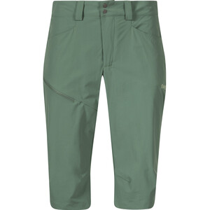 Bergans Vandre Light Lange Softshell Shorts Dames, groen groen