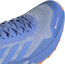 adidas TERREX Agravic Flow 2 GTX Schuhe Herren blau