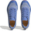 adidas TERREX Agravic Flow 2 GTX Schoenen Heren, blauw