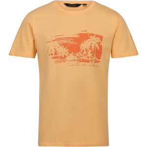 Regatta Cline VII SS Shirt Men, oranje oranje
