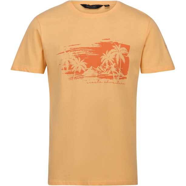 Regatta Cline VII Camiseta SS Hombre, naranja