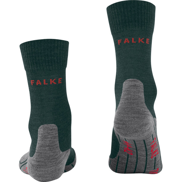 Falke TK5 Trekking Socks Men holly